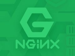 Nginx入门到实践－Nginx中间件 | 完结