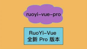 RuoYi-Vue 全新 Cloud 版本，优化重构所有功能