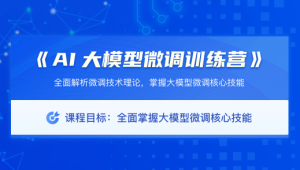 极客时间 AI大模型微调训练营（0期）