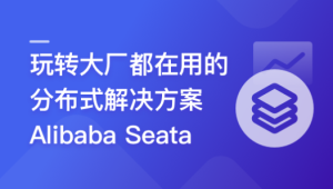 一课学透 分布式事务框架 Alibaba Seata