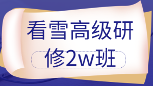 《安卓高级研修班(网课)》月薪两万计划