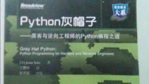 Python灰帽子网络安全实践