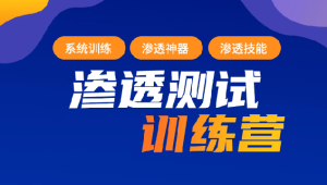 2023年最新渗透测试训练营：学习网络安全与漏洞赏金