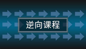 任鸟飞2021游戏安全逆向在线班课程