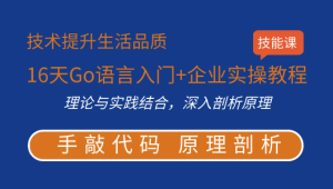 16天Go语言入门+企业实操教程