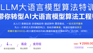 LLM大语言模型算法特训 带你转型AI大语言模型算法工程师