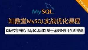 知数堂MySQL实战优化课程