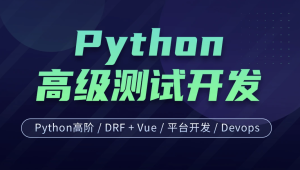 柠檬班-Python测试开发 后端课程（14期）