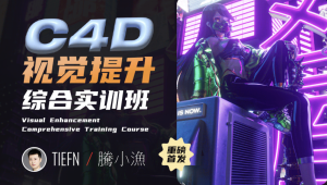 腾小渔 C4D视觉提升综合实训班2023