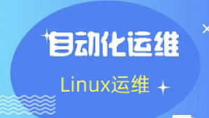 老男孩： Linux王牌自动化班89期， SRE运维视频课程