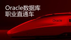 炼数成金 【快班】Oracle职业直通车