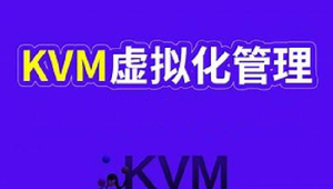 大厂Data Center KVM虚拟化技术 深入KVM虚拟化基实战部署 数据中心效能提升大揭秘