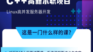 牛客 C++ 高薪求职项目课程：Linux高并发服务器开发