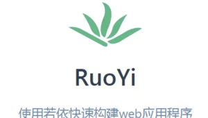 若依框架(RuoYi)系列视频教程