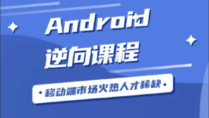 Android逆向从入门到高级VIP视频