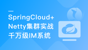 SpringCloud+Netty集群实战千万级 IM系统