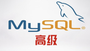 尚硅谷MySQL高级