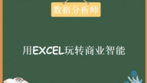 数据分析师《用EXCEL玩转商业技能》