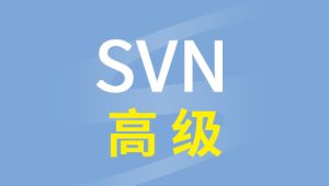 尚硅谷SVN高级视频