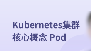 Kubernetes集群核心概念 Pod