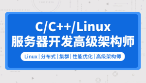 零声 C C++Linux服务器开发 高级架构师2109