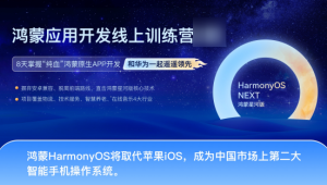 博学谷-HarmonyOS NEXT鸿蒙（星河版）应用开发线上训练3期