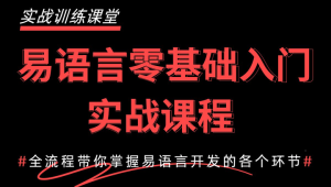 2024最新易语言基础快速入门到精通教程：1天入门快速开发自己的软件