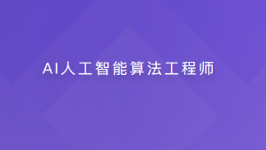 AI人工智能算法工程师【20周】