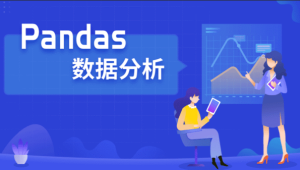 Pandas数据分析实战