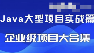 精选24套JAVA企业实战项目教程资源