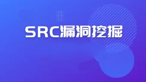 2024最新SRC漏洞报告