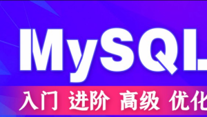 Mysql优化高级技巧、经典案例与专题 61课