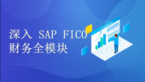 深入浅出学习 SAP S4 HANA FICO 财务全模块