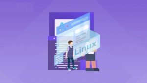 极客事纪： Linux运维云计算SER架构师视频课程