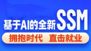 2024基于 AI 的 SSM 框架课程（完整资料）